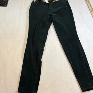 Pilcro Dark Green Skinny Jeans